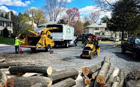 Reliable East Farmingdale, NY Tree Removal and Landscaping Services Solutions